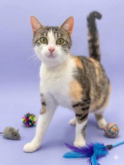 Roo And Rosie  thumbnail 3