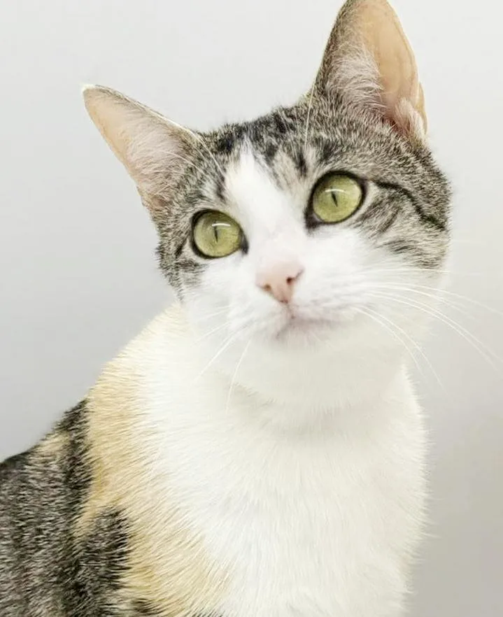 Roo And Rosie  thumbnail 4