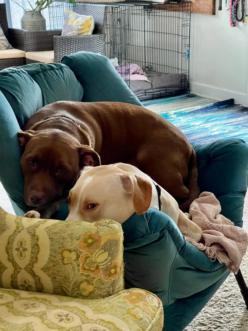 Hopper Was Corona thumbnail 3