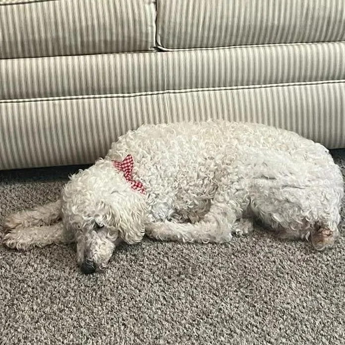 Cloud 'belle' thumbnail 2