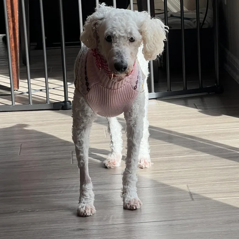 Cloud 'belle' thumbnail 3