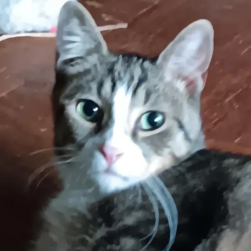 Mateo thumbnail 3