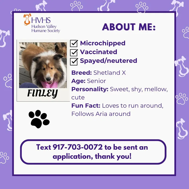 Finley thumbnail 2