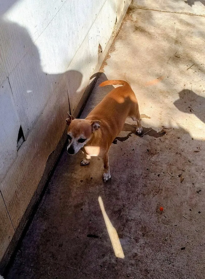 Sponsor Me  Mama thumbnail 2