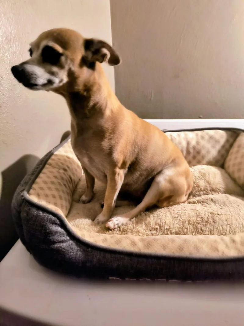 Sponsor Me  Mama thumbnail 3