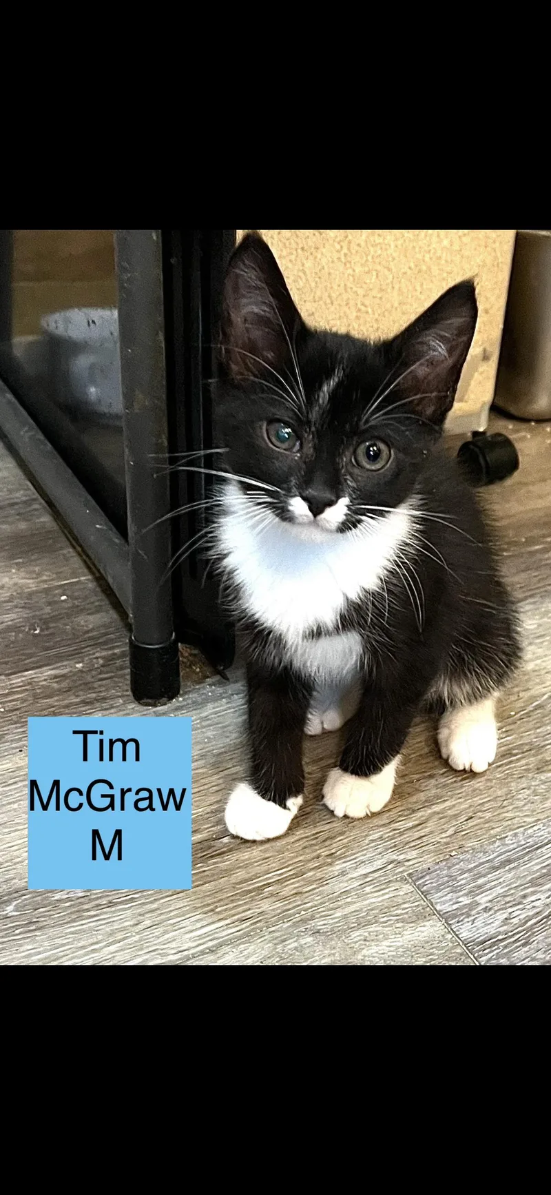 Tim McGraw thumbnail 2