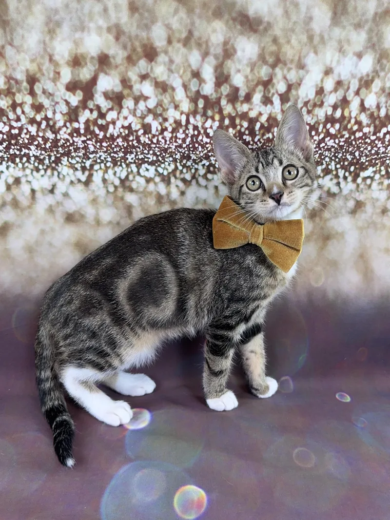 Marbles thumbnail 2