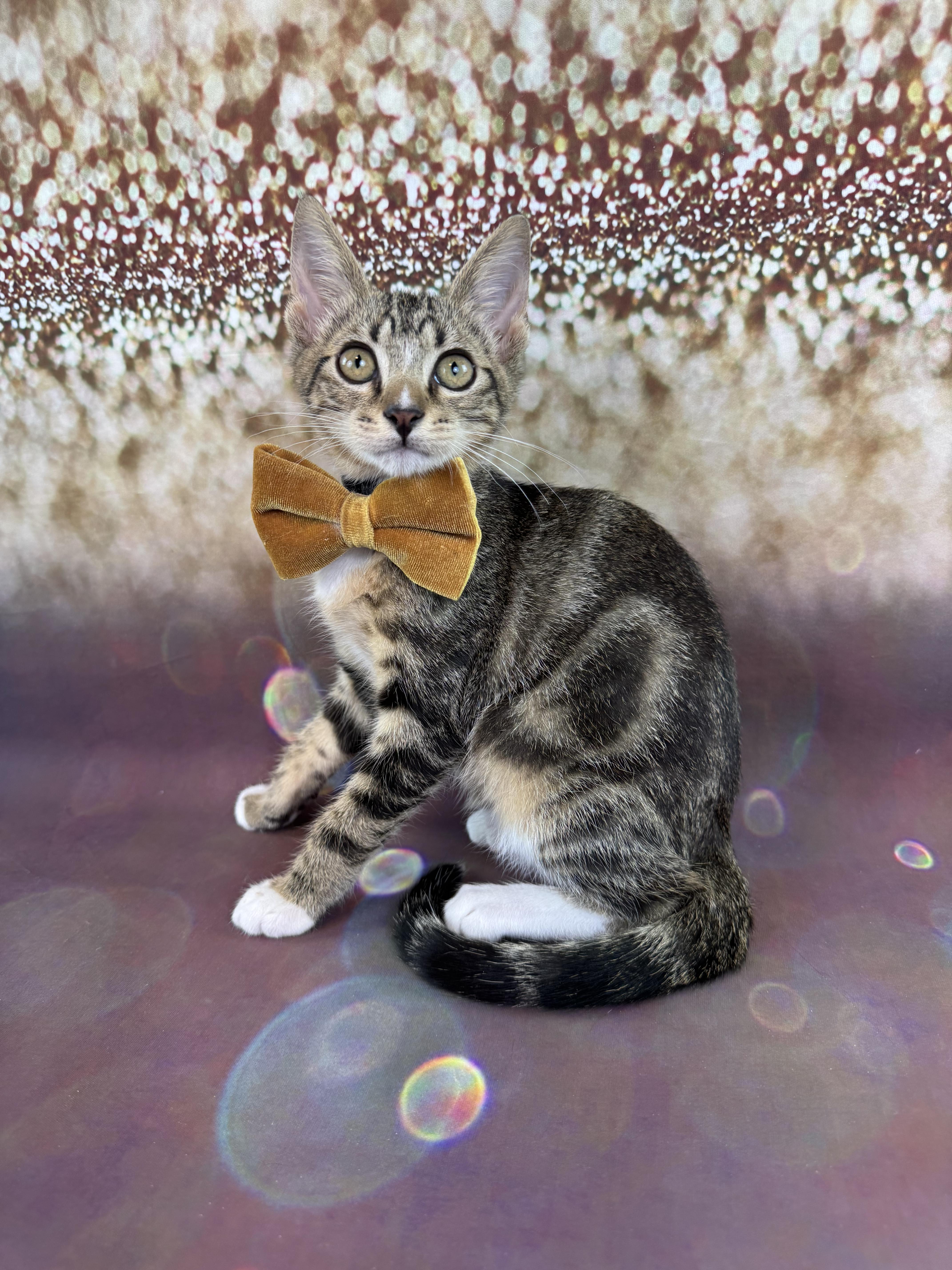 Marbles thumbnail 3