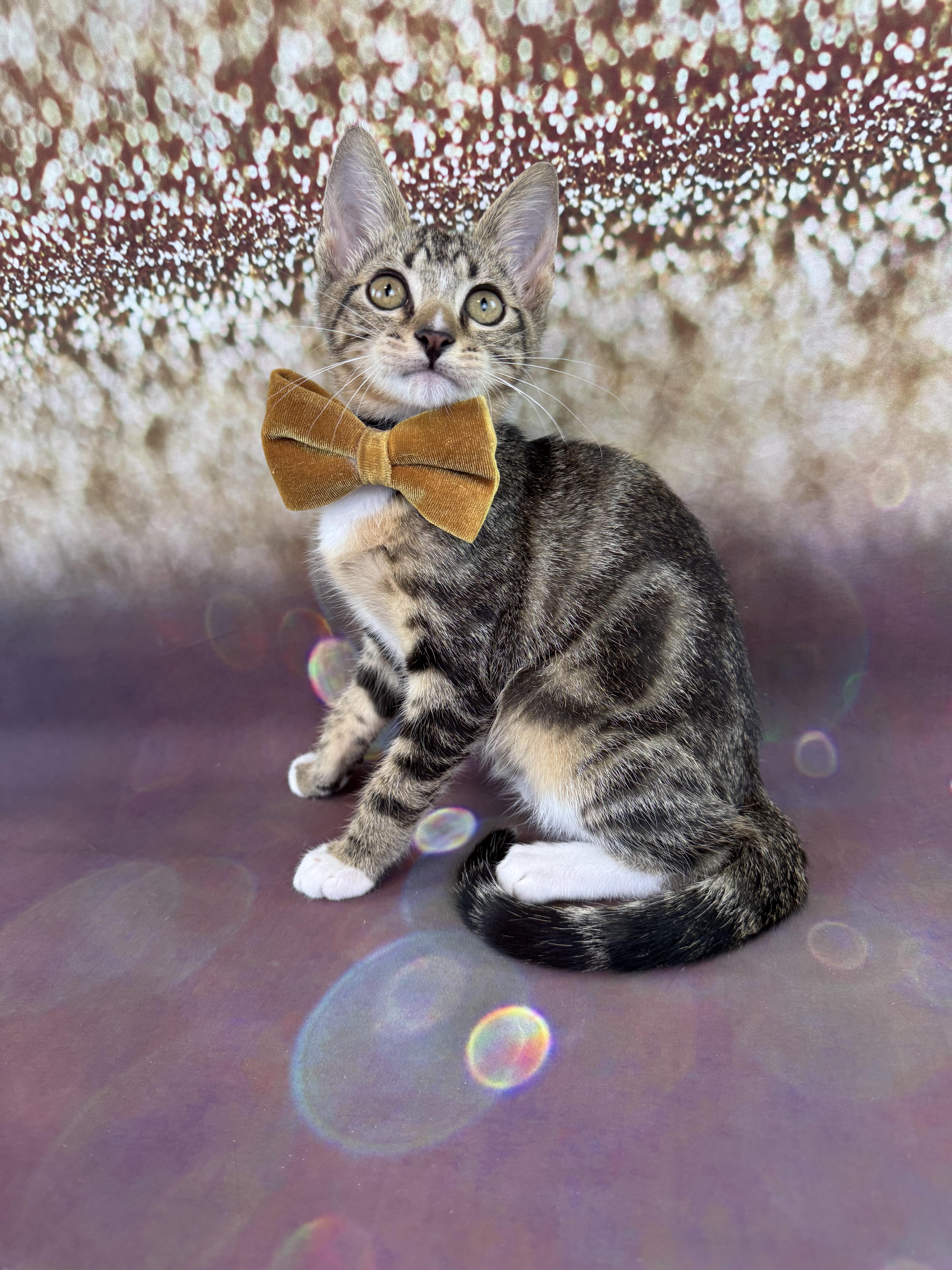 Marbles thumbnail 4
