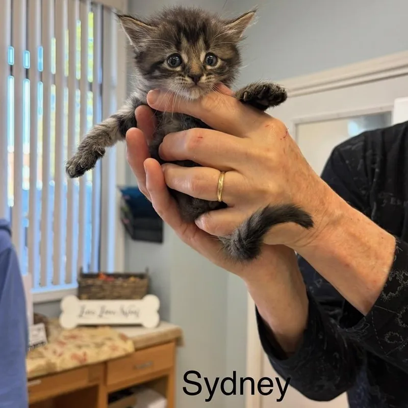 Sydney