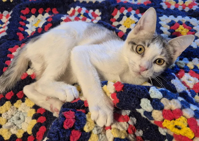 High Heels thumbnail 2