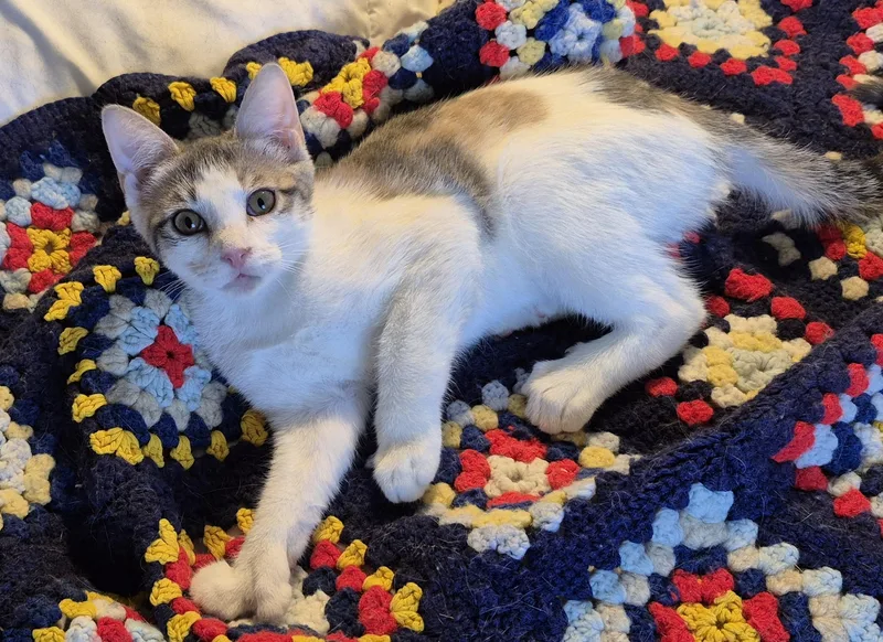 High Heels thumbnail 3