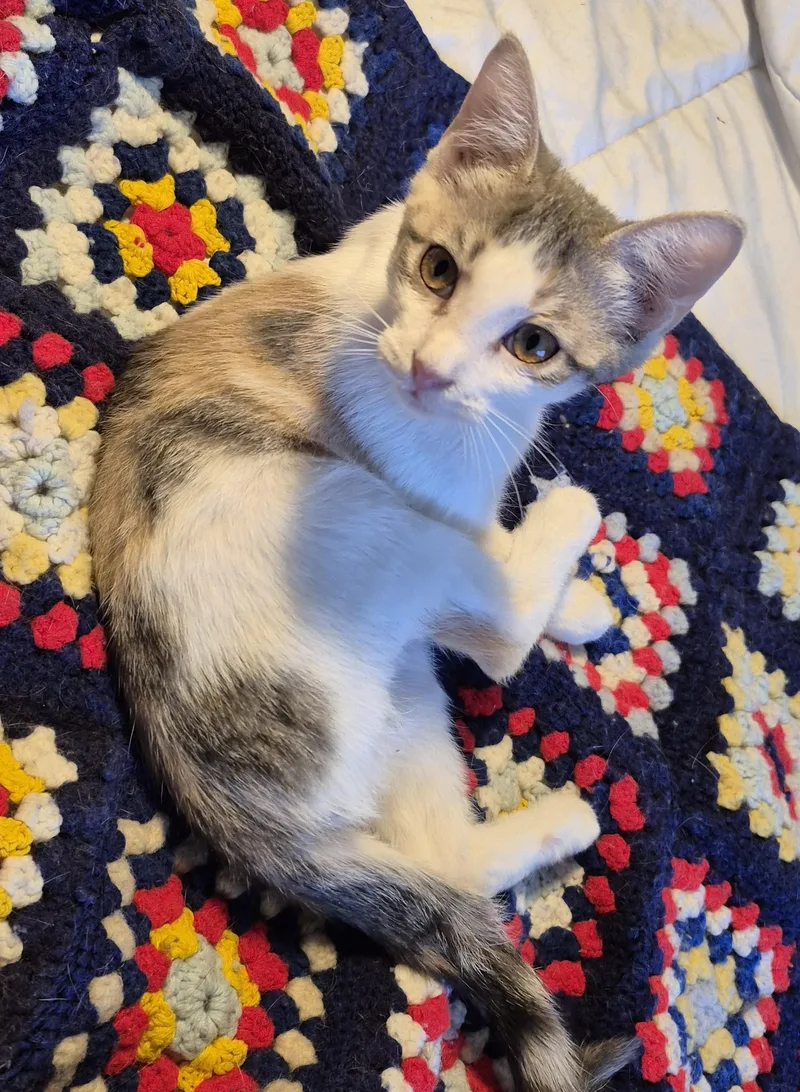 High Heels thumbnail 4