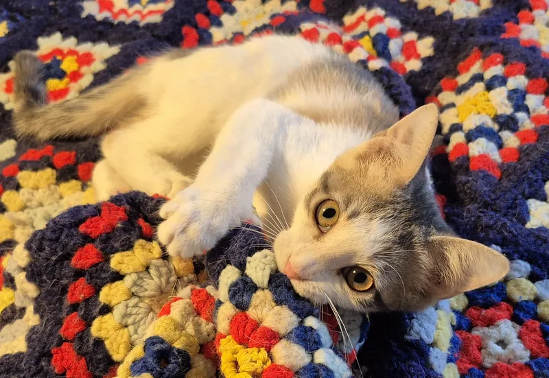 High Heels thumbnail 5