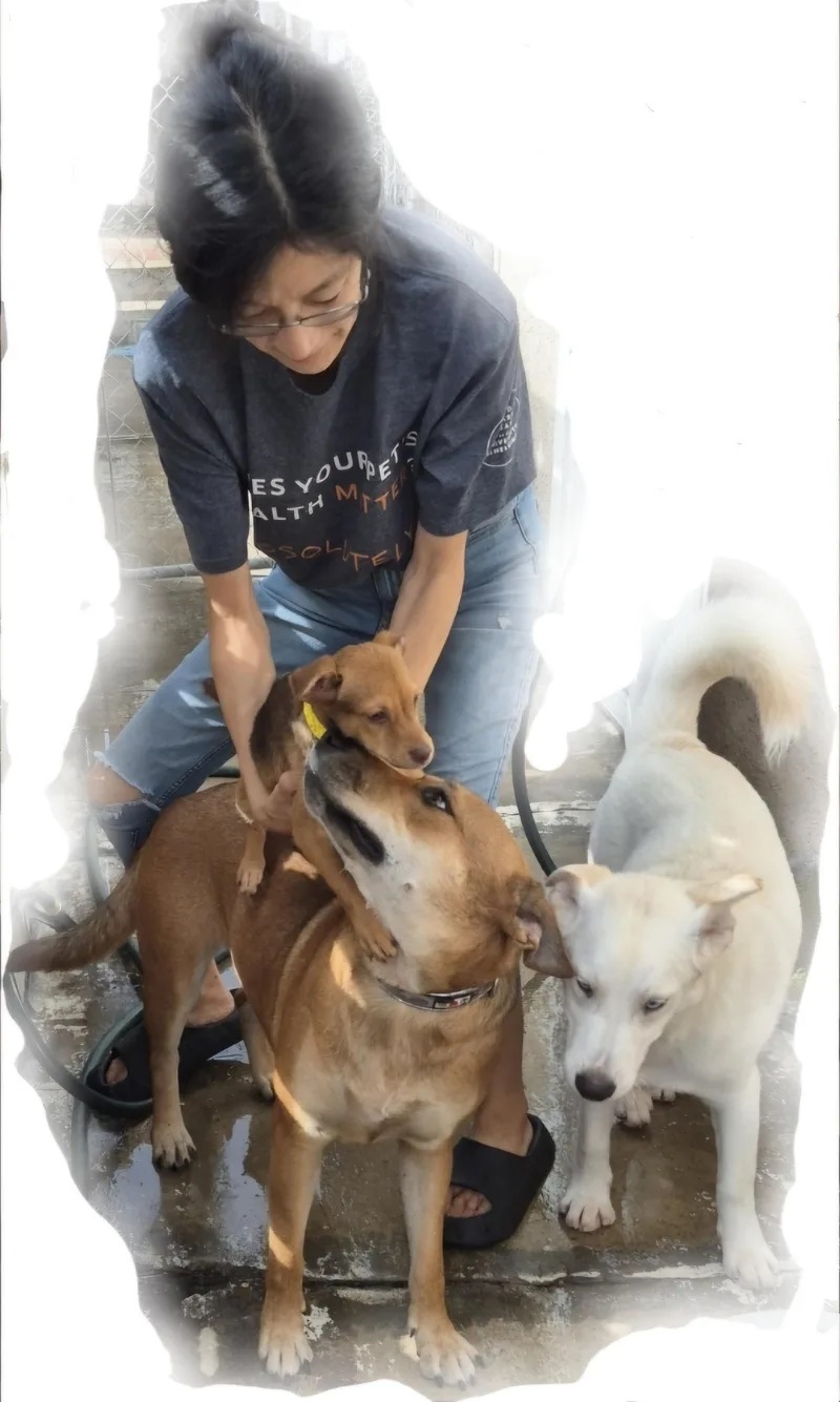 Maple K Good Citizen! thumbnail 2