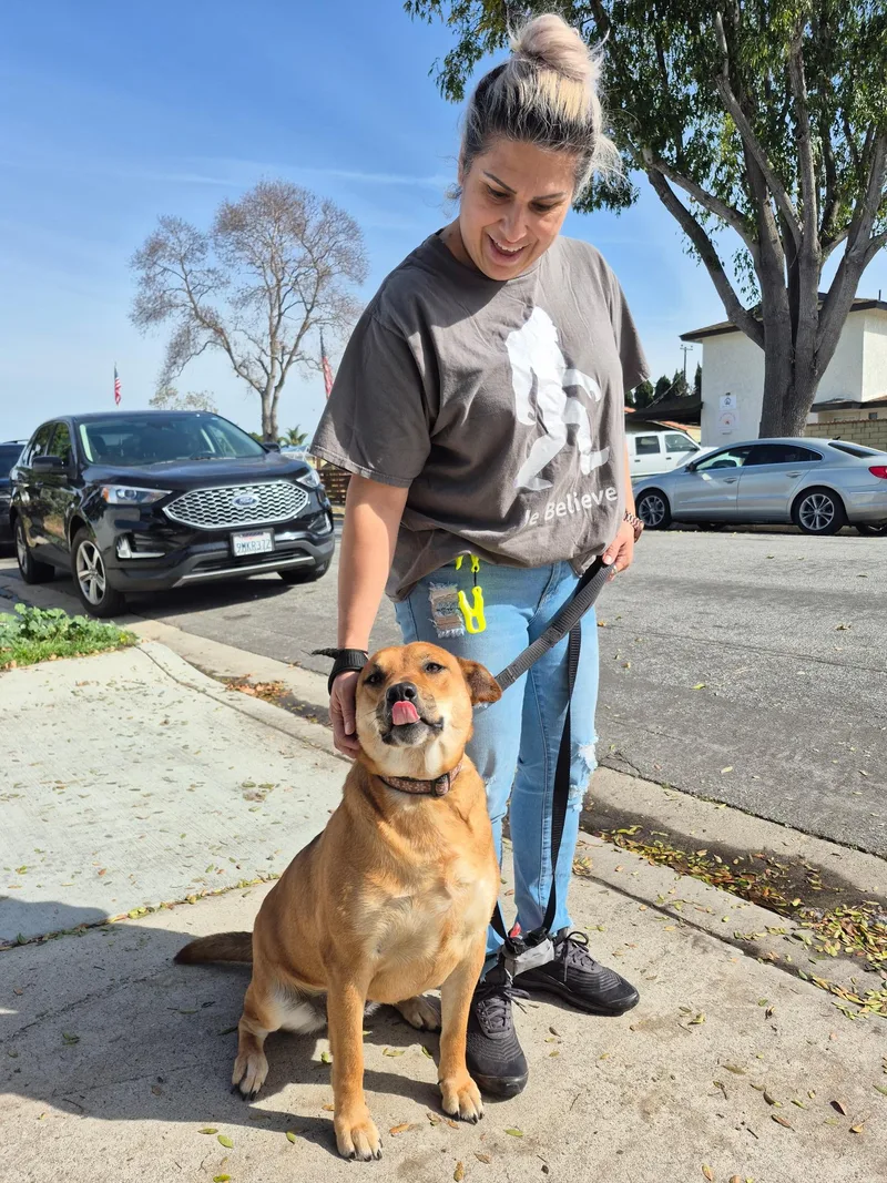 Maple K Good Citizen!