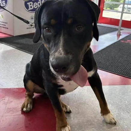 Max