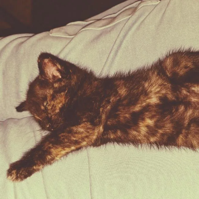 Leela thumbnail 2