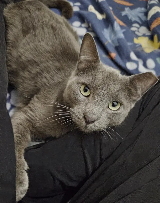 Bonnie  The Sweetest thumbnail 2