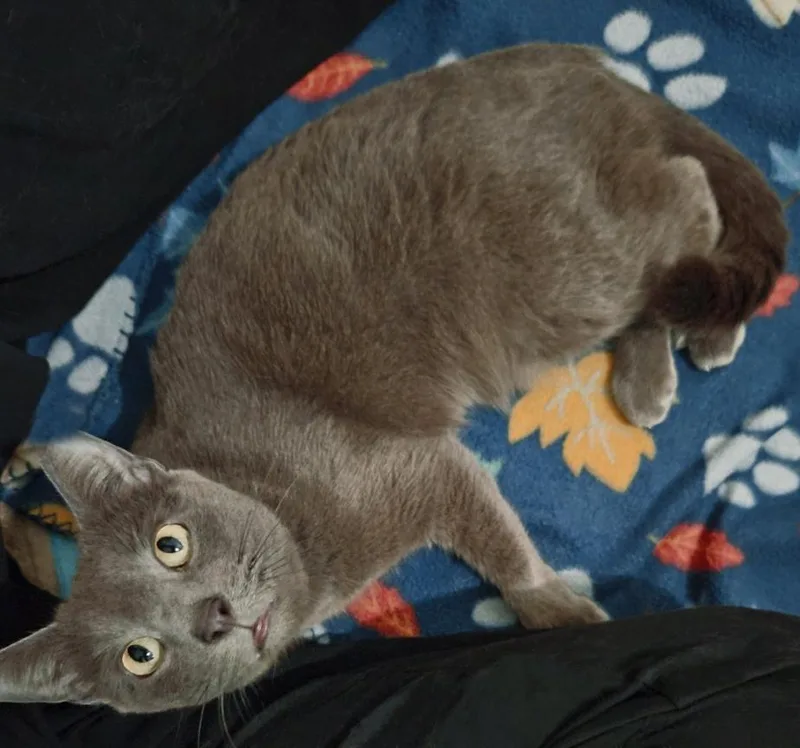 Bonnie  The Sweetest thumbnail 3