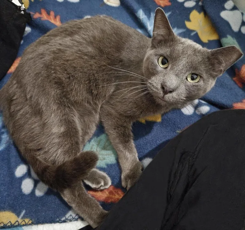 Bonnie  The Sweetest thumbnail 5