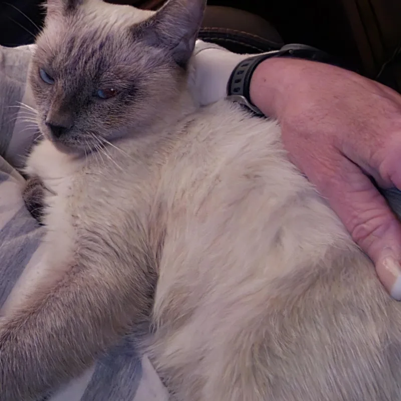 Sasha thumbnail 6