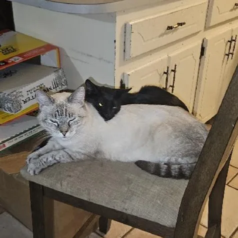 Momma & Itty Bitty thumbnail 2