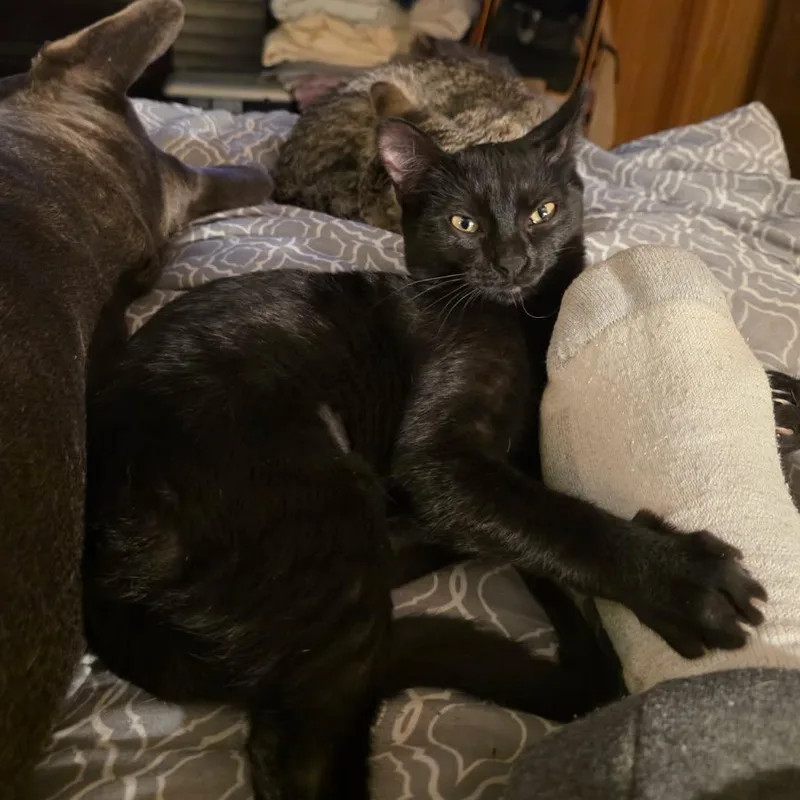 Momma & Itty Bitty thumbnail 4