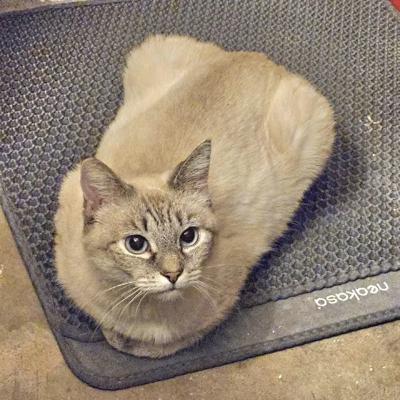 Momma & Itty Bitty thumbnail 5