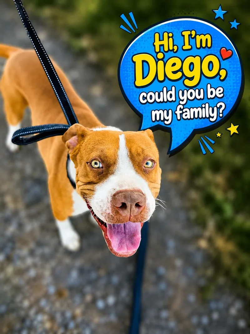 Diego thumbnail 2