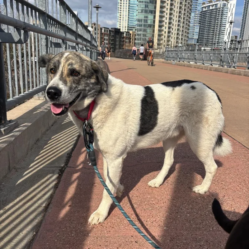 Santiago thumbnail 2