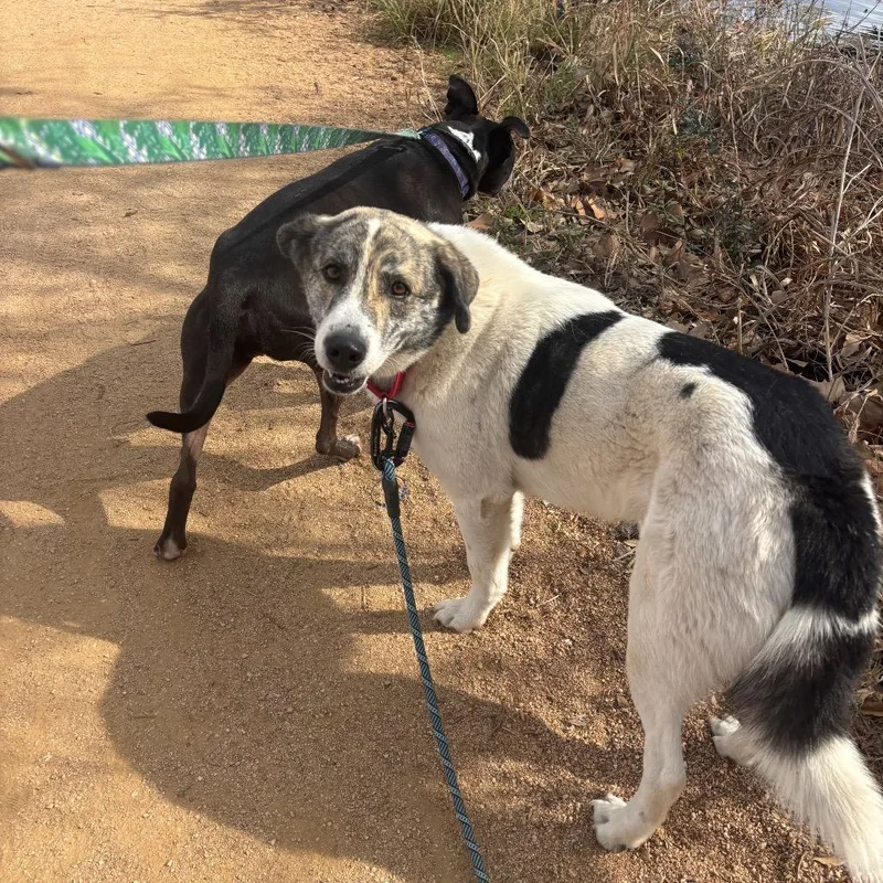 Santiago thumbnail 5