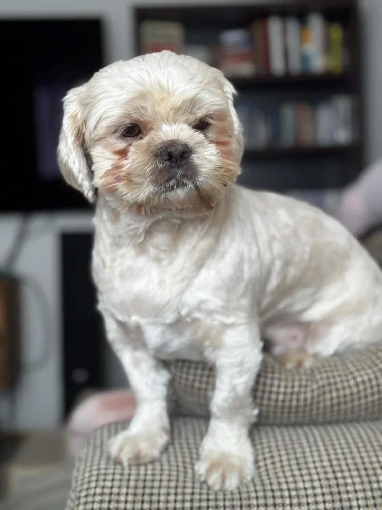 Christopher thumbnail 2