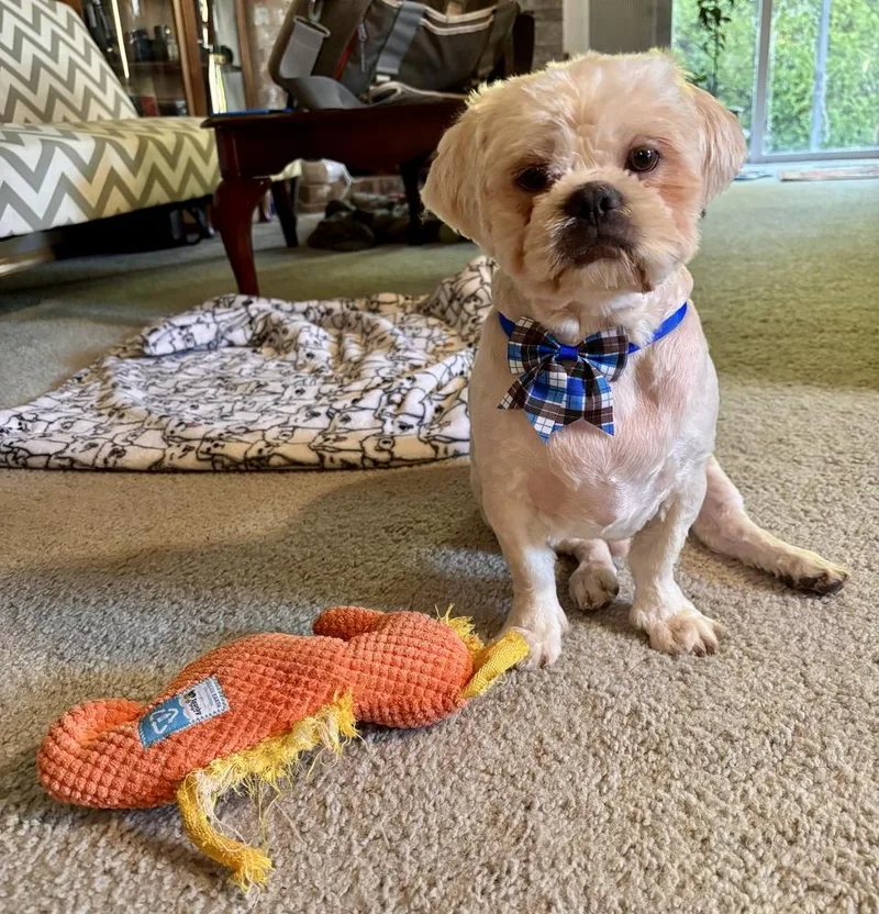 Christopher thumbnail 3