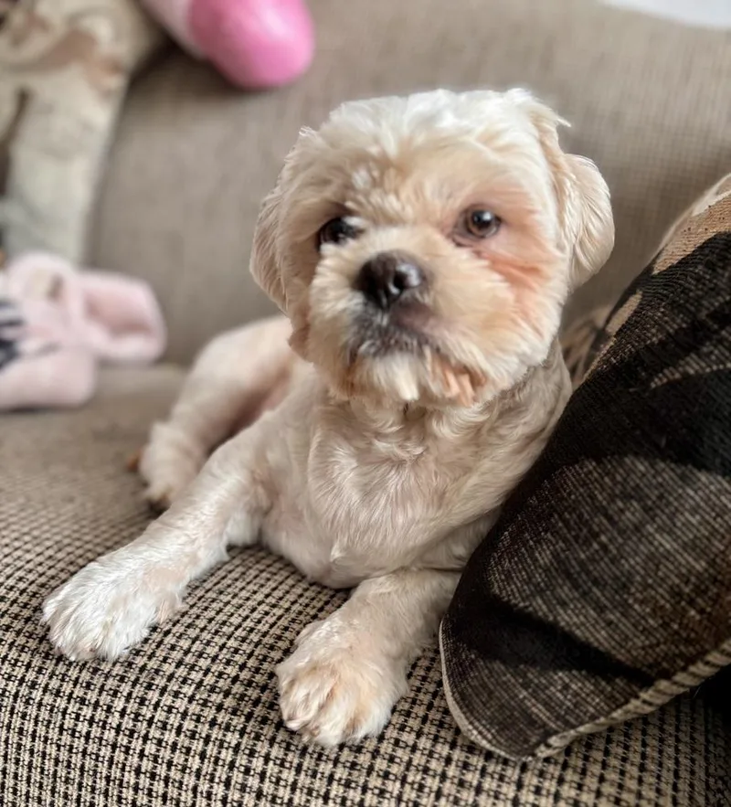 Christopher thumbnail 4