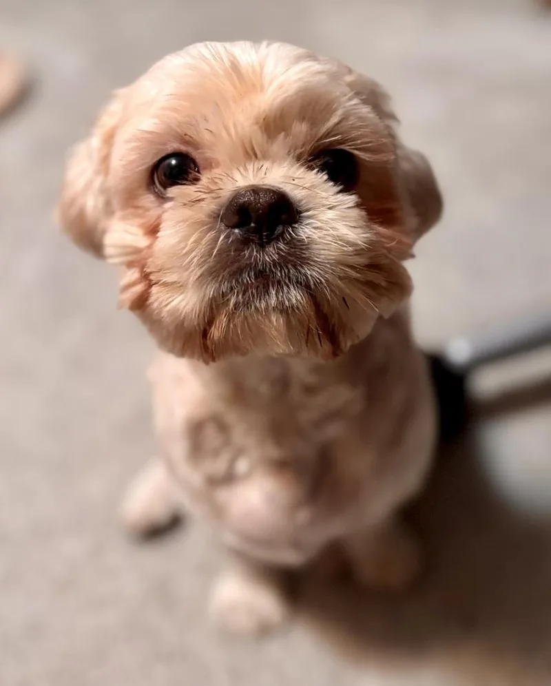 Christopher thumbnail 5