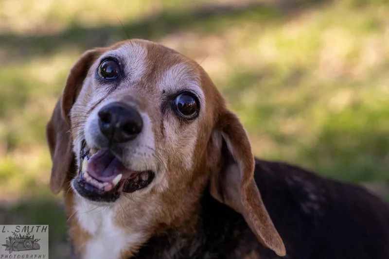 Gretchyn thumbnail 4