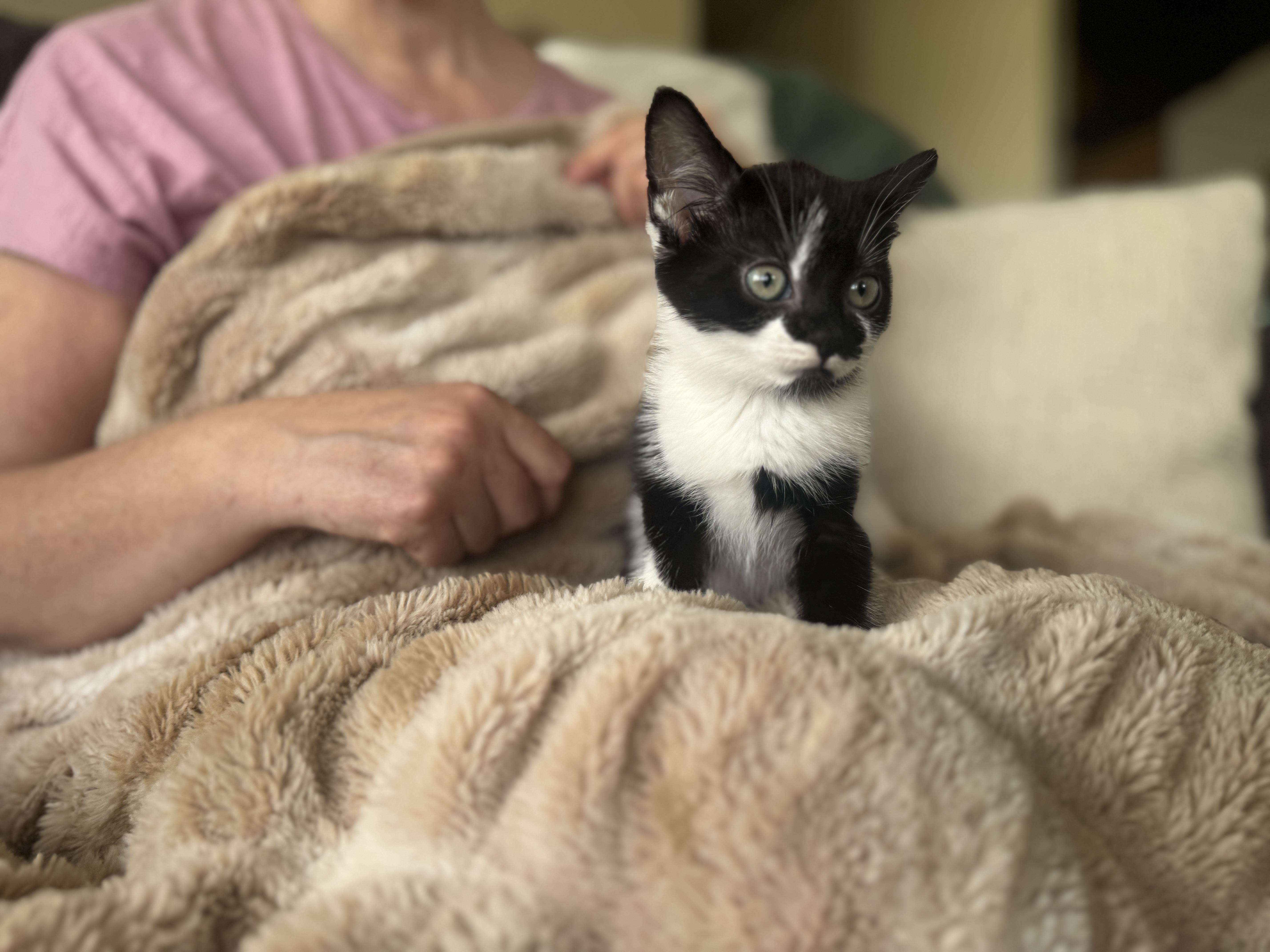 Wintertransport thumbnail 3