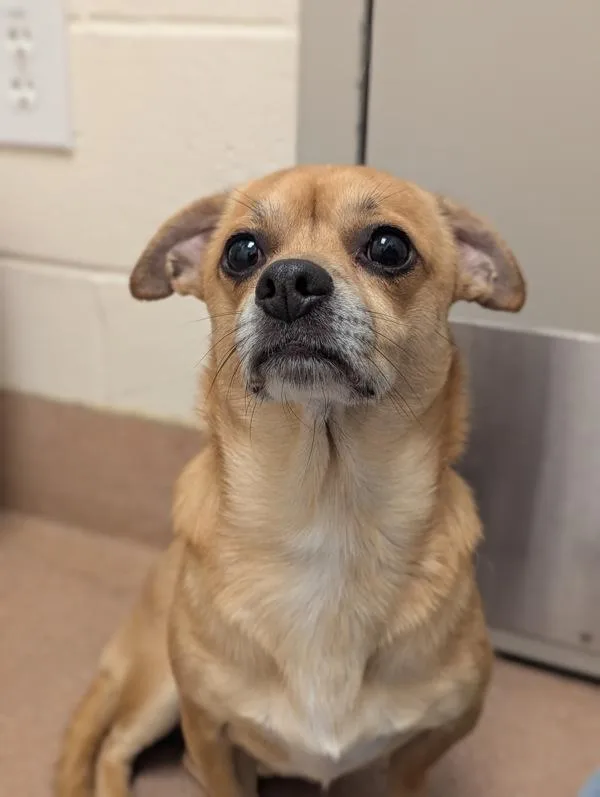 Bouncyball thumbnail 2