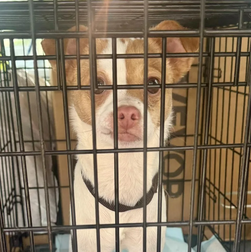 Theresa thumbnail 3