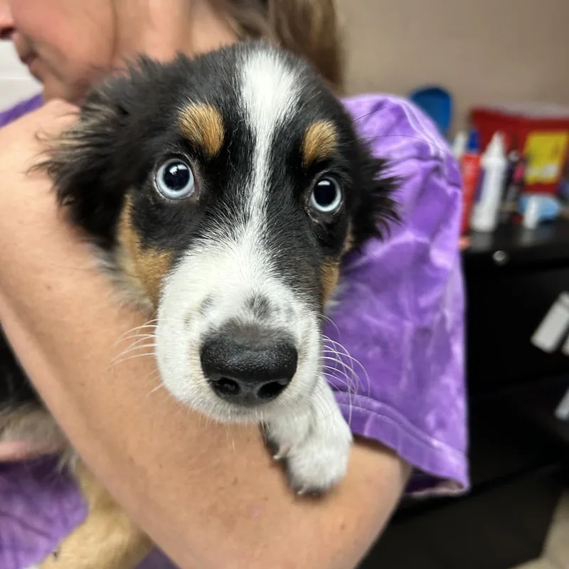 Zoey Aka Stef thumbnail 2