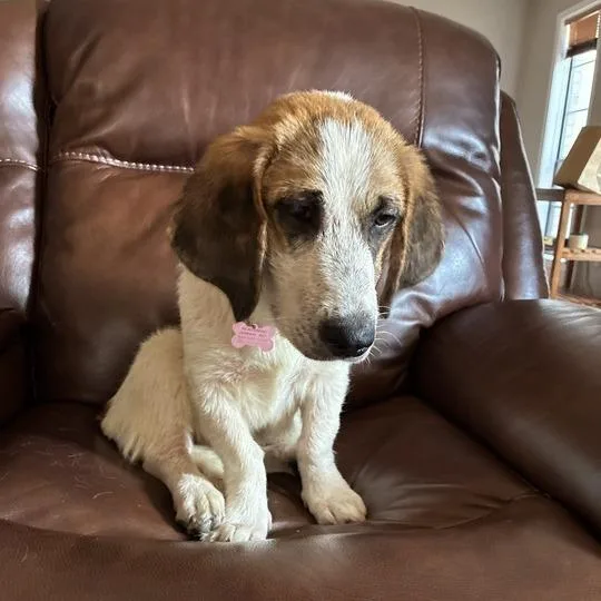 Kia Soul thumbnail 3