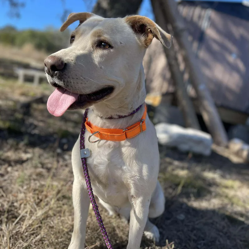 Greta