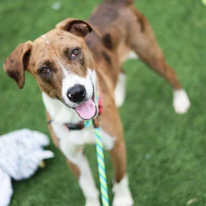 Princeton thumbnail 2