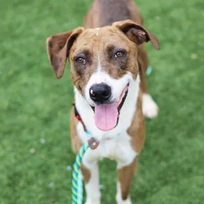 Princeton thumbnail 3