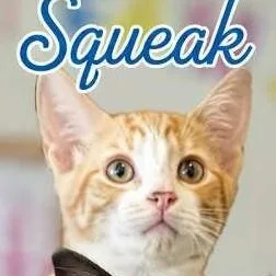 A young medium-sized male Orange & White Domestic Short Hair cat named Squeak for adoption in West Orange, NJ