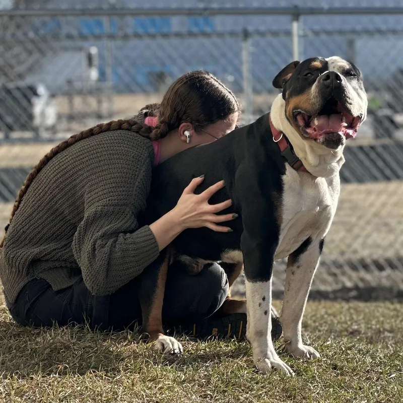 Dirty Dan thumbnail 4