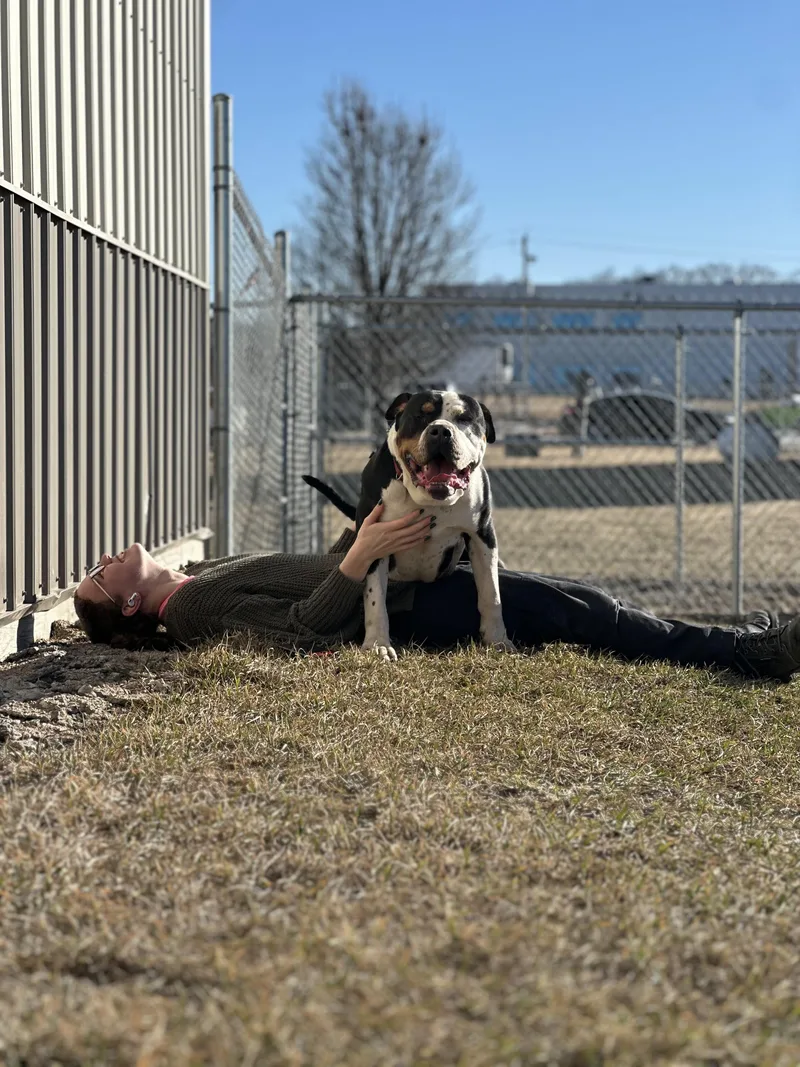 Dirty Dan thumbnail 5