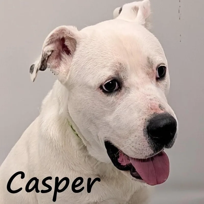 Casper thumbnail 3