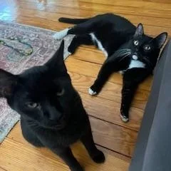 Soy Sauce & Oyster thumbnail 3